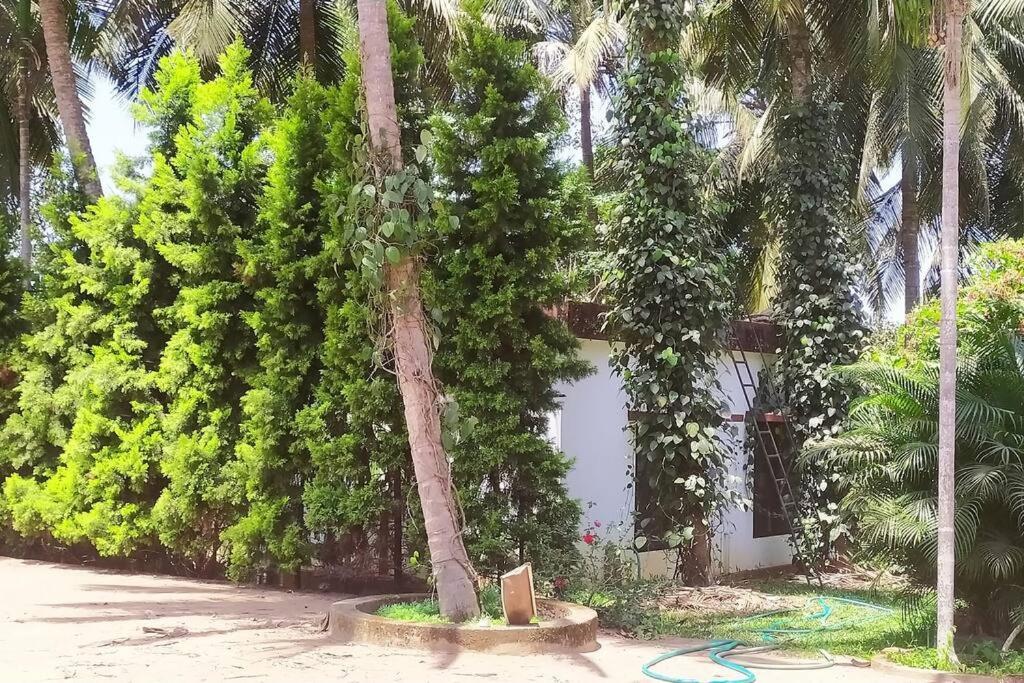 Gurpur Runnin Airport - Homestay מראה חיצוני תמונה