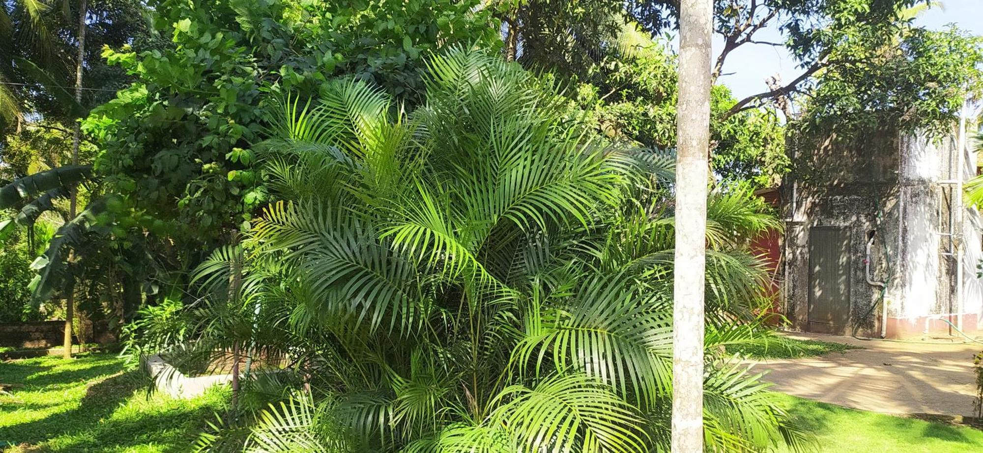 Gurpur Runnin Airport - Homestay מראה חיצוני תמונה